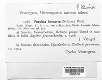 Puccinia arechavaletae image